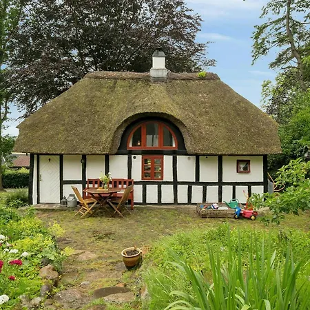 Summer House By Alum A And Fussing So